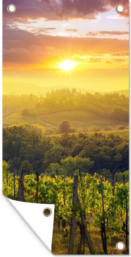 Tuinposter Toscane - Italië - Druivenbomen - 30x60 cm - Tuindoek - Buitenposter