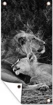 Tuinposter Leeuwen - Zwart - Wilde dieren - 30x60 cm - Tuindoek - Buitenposter
