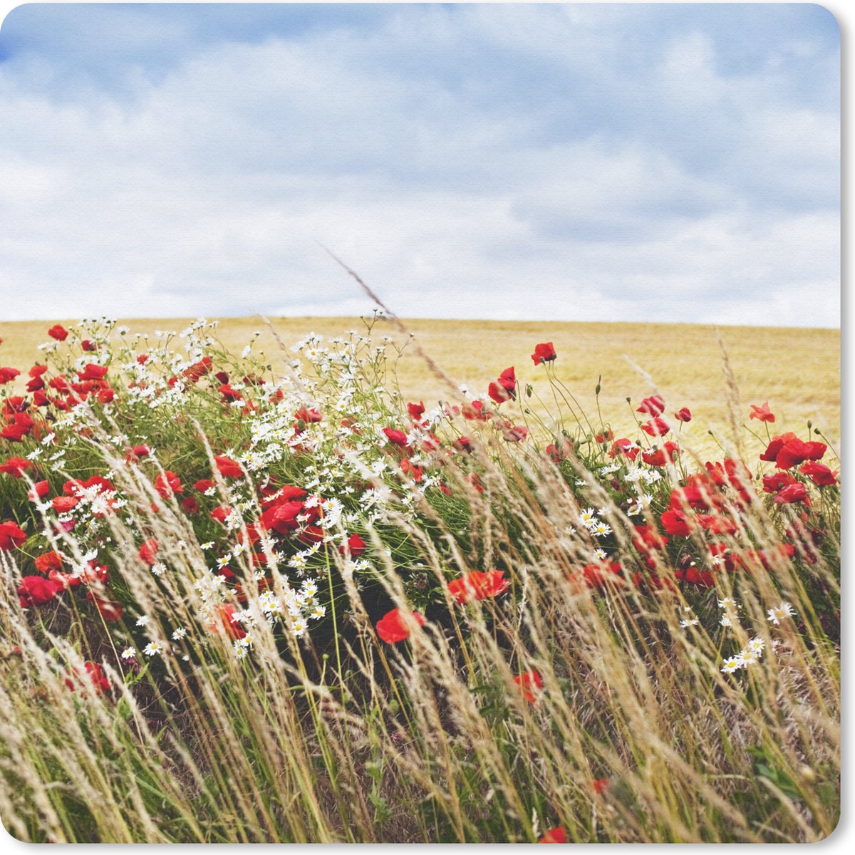 Muismat 30x30 cm - Mousepad Wolken - Bloemen - Rood - Muismatten