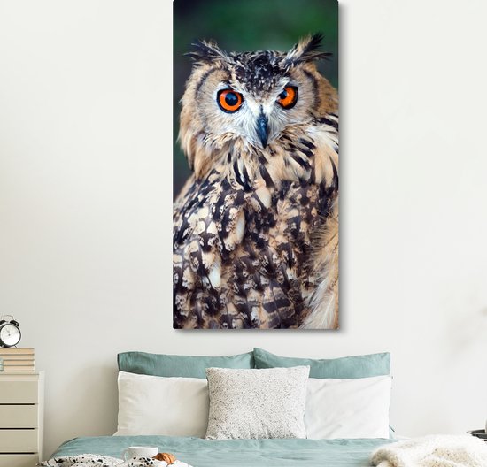 Tableau sur toile Hibou grand-duc - 80x160 cm - Décoration murale