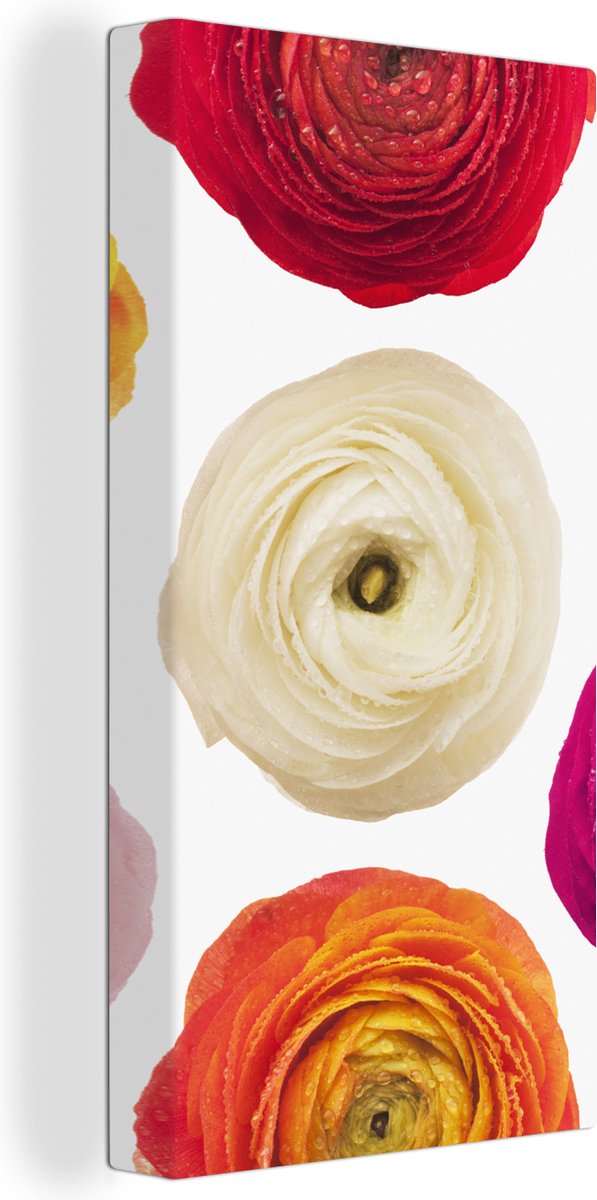 Canvas Schilderij Meerdere boterbloemen op een witte achtergrond - 20x40 cm - Wanddecoratie - OneMillionCanvasses