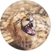 Muismat - Mousepad - Rond - Cheetah - Dier - Close up - 50x50 cm - Ronde muismat