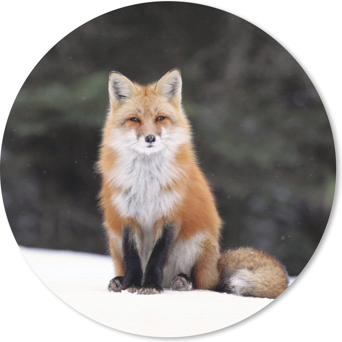 Muismat rond 50x50 cm - Mousepad Vos - Sneeuw - Rood - Ronde muismatten
