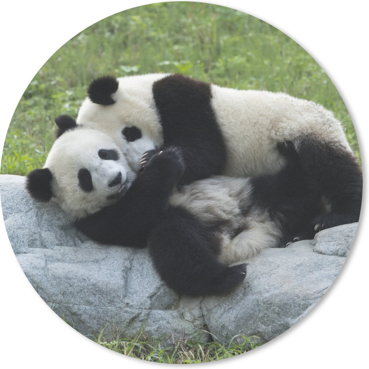 Muismat rond 50x50 cm - Mousepad Pandas - Gras - Steen - Ronde muismatten