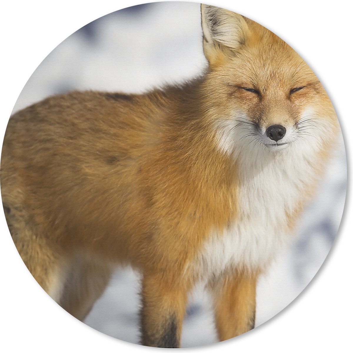 Muismat rond 20x20 cm - Mousepad Vos - Sneeuw - Rood - Ronde muismatten