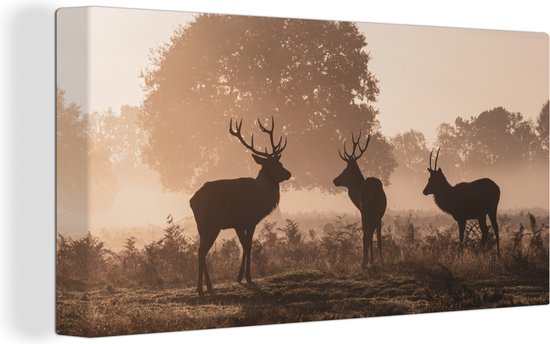 Tableau Toile Cerf - Brouillard - Forêt - 40x20 cm - Décoration murale