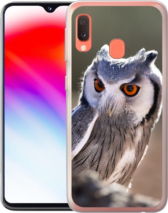 Coque Samsung Galaxy A20e - Hibou - Macro - Animal - Siliconen