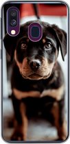 Coque Samsung Galaxy A40 - Jeune - Chien - Appareil photo - Siliconen - Sinterklaas - Noël - Cadeaux - Cadeaux de chaussures