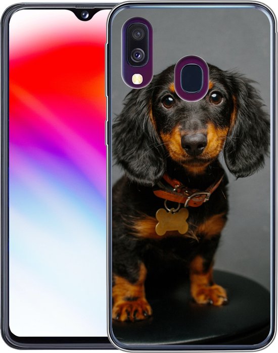 Coque Samsung Galaxy A40 - Studio photo de chiot teckel - Siliconen - Sinterklaas - Noël - Cadeaux - Chaussures cadeaux