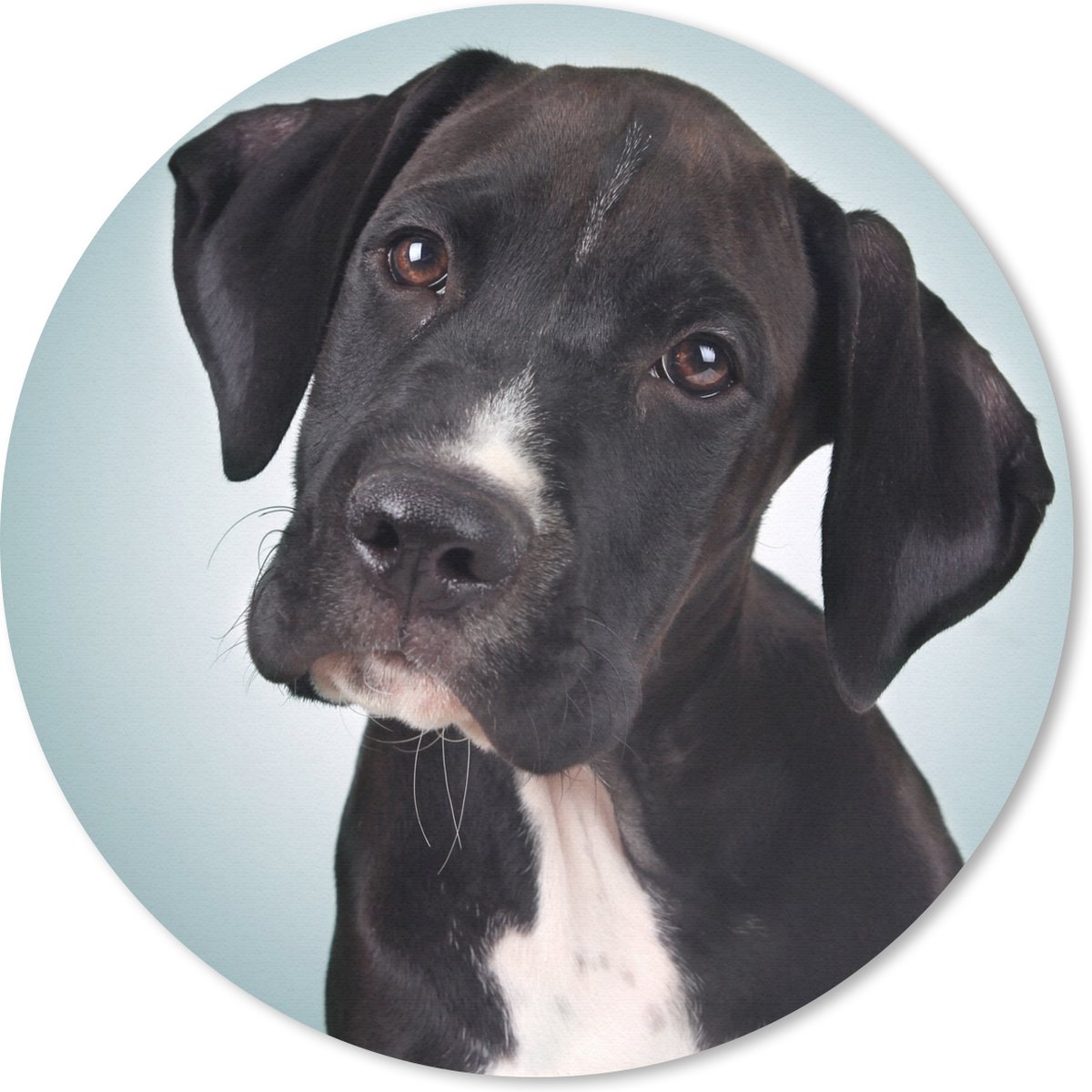 Muismat rond 20x20 cm - Mousepad Lieve zwart-witte hond - Ronde muismatten