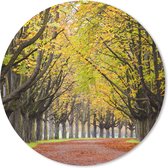 Muismat - Mousepad - Rond - Kastanjebomen met gele bladeren tijdens de herfst - 30x30 cm - Ronde muismat