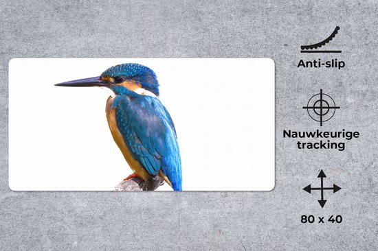 Bureau onderlegger - Muismat - Bureau mat - IJsvogel - Veren - Tak - Blauw - 80x40 cm