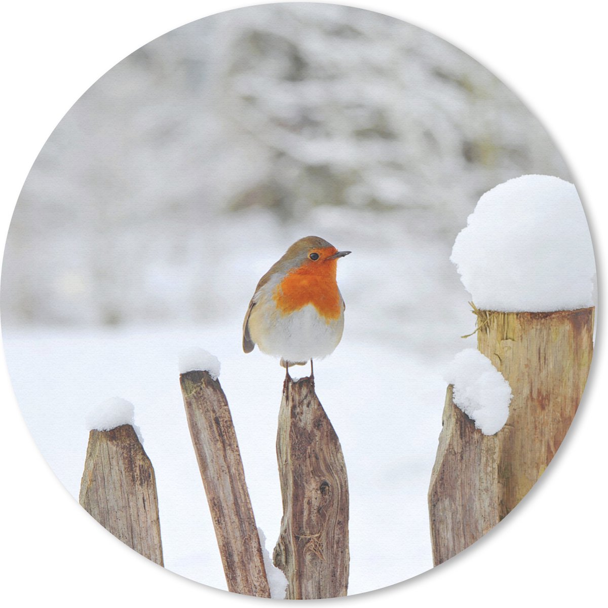 Muismat rond 20x20 cm - Mousepad Vogel - Hek - Sneeuw - Ronde muismatten