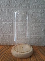 TeleBeni glazen stolp met vuren voetje Afmetingen: 22 cm x 11 cm
