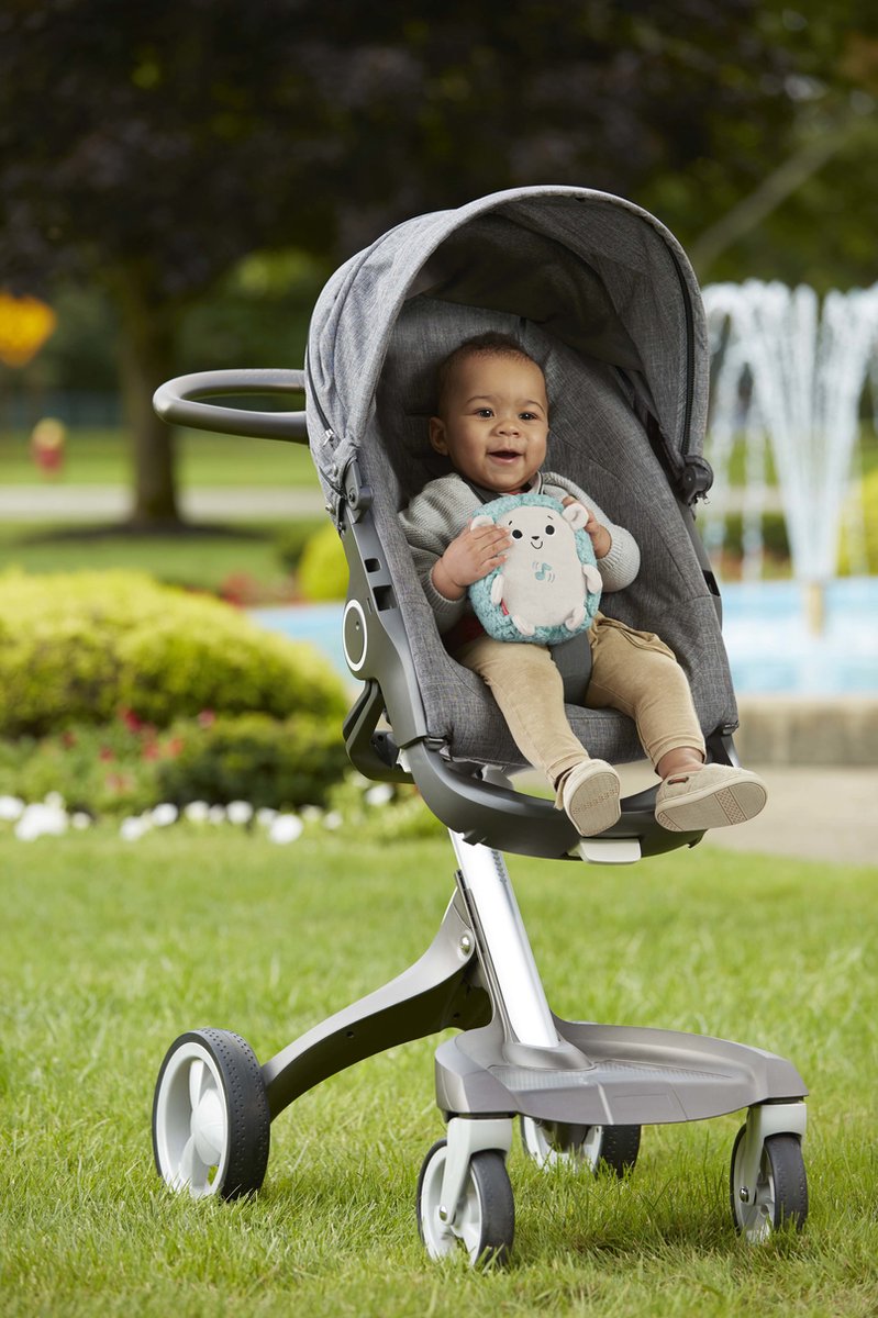 Fisher Price Kalmerende geluidjes Egel — afbeelding 14