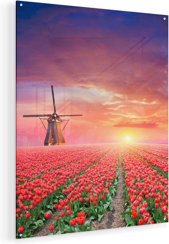 Artaza Glasschilderij - Rode Rozen Bloemenveld Met Een Windmolen - 80x100 - Groot - Plexiglas Schilderij - Foto op Glas