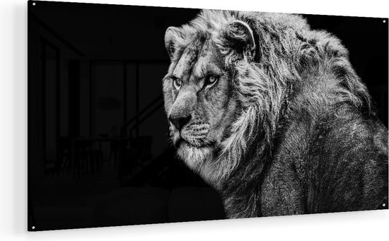 Peinture sur verre Artaza - Lion - Zwart Wit - 140 x 70 - Groot - peinture en plexiglas - Photo sur Glas