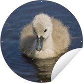 Tuincirkel Baby - Zwaan - Kuiken - 120x120 cm - Ronde Tuinposter - Buiten XXL / Groot formaat!