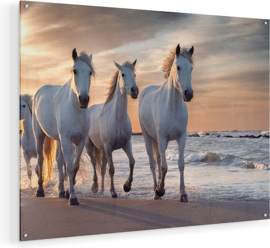 Artaza Glasschilderij - Witte Paarden Op Het Strand Bij Water - 80x60 - Plexiglas Schilderij - Foto op Glas