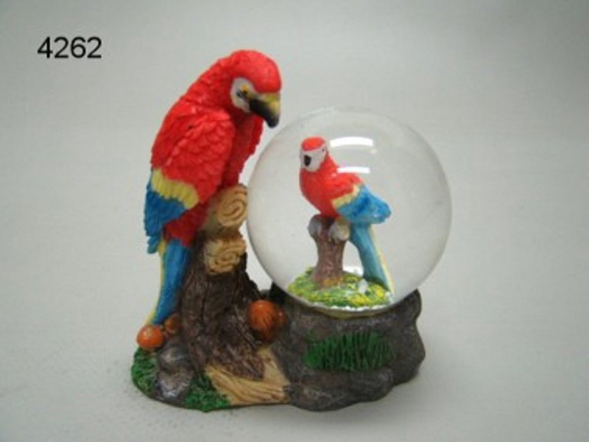 Sneeuwbol Rode Papegaai - Geharo