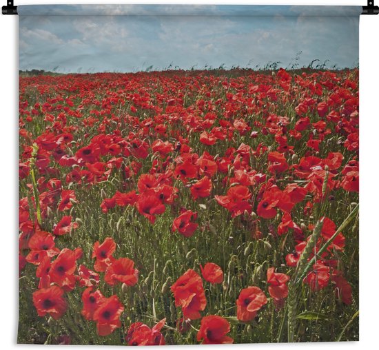 Tenture murale - Toile murale - Une prairie pleine de coquelicots - 60x60 cm - Tapisserie murale