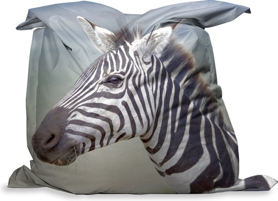 royalty residu Extractie PillowMonkey zitzak - Zebra close-up - 135x135 cm - Binnen en Buiten |  bol.com