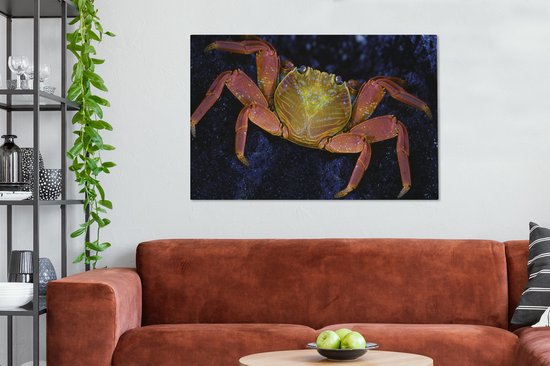 Canvas Schilderij Krab - Water - Dieren - 120x80 cm - Wanddecoratie