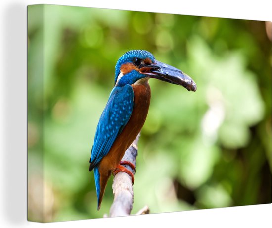 Tableau Tableau Martin-pêcheur - Poisson - Arbre - 120x80 cm - Décoration murale