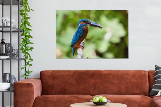 Tableau Tableau Martin-pêcheur - Poisson - Arbre - 120x80 cm - Décoration murale