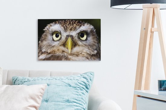 Tableau sur toile Gros plan d'un hibou marron - 30x20 cm - Décoration murale