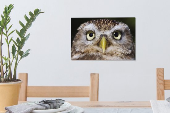 Tableau sur toile Gros plan d'un hibou marron - 30x20 cm - Décoration murale