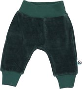 PANTS IGGY VELVET PINE VELVET 86-92