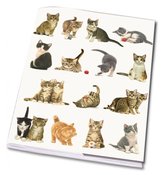 Set van 3 schriften Franciens Katten