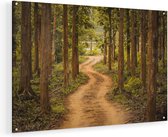 Artaza Glasschilderij - Pad In Het Bos Met Bomen - 75x50 - Plexiglas Schilderij - Foto op Glas