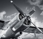 Vintage enkel propeller vliegtuig  - Fotobehang (in banen) - 250 x 260 cm