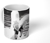Mok - Twee witte zwanen in gevecht - 350 ML - Beker
