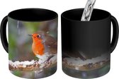 Magische Mok - Foto op Warmte Mokken - Koffiemok - Roodborstje - Sneeuw - Tak - Magic Mok - Beker - 350 ML - Theemok