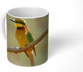Mok - Een kleurrijke dwergbijeneter op een tak - 350 ML - Beker