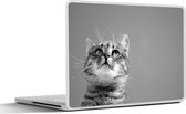 Sticker pour ordinateur portable - 13,3 pouces - Chat avec ciel bleu - noir et blanc