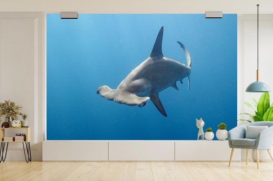 Papier peint - Papier peint photo murale Requin marteau - Largeur 330 cm x hauteur 220 cm