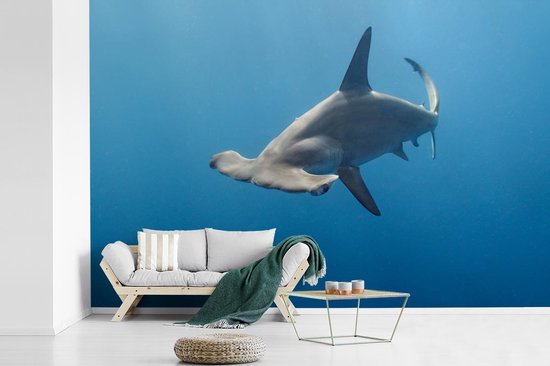 Papier peint - Papier peint photo murale Requin marteau - Largeur 330 cm x hauteur 220 cm