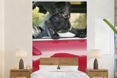 Behang - Fotobehang Franse Bulldog - Auto - Rood - Breedte 145 cm x hoogte 220 cm