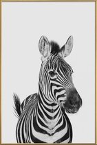 JUNIQE - Poster met kunststof lijst Zebra Classic -13x18 /Wit & Zwart