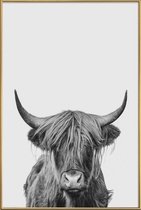 JUNIQE - Poster met kunststof lijst Highland Cow Classic -40x60 /Wit &