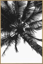 JUNIQE - Poster met kunststof lijst Propeller Palm -40x60 /Grijs & Wit