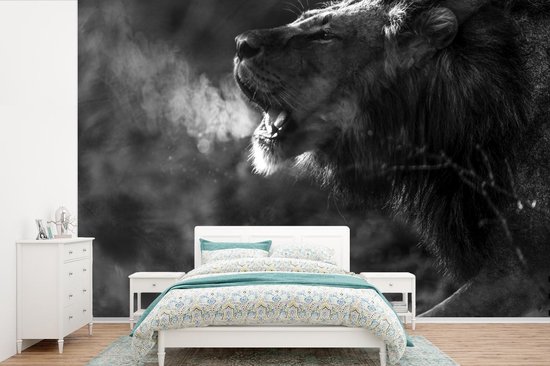 Papier peint Papier peint photo en vinyle - Lion rugissant largeur 330 cm x hauteur 220 cm - Tirage photo sur papier peint (disponible en 7 tailles)