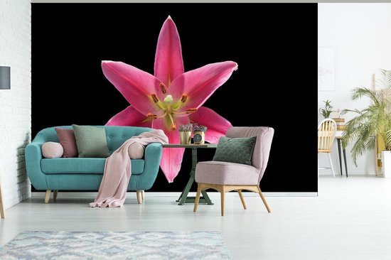 Papier peint Papier peint photo en vinyle - Fleur de lys rose sur fond noir largeur 360 cm x hauteur 240 cm - Tirage photo sur papier peint (disponible en 7 tailles)