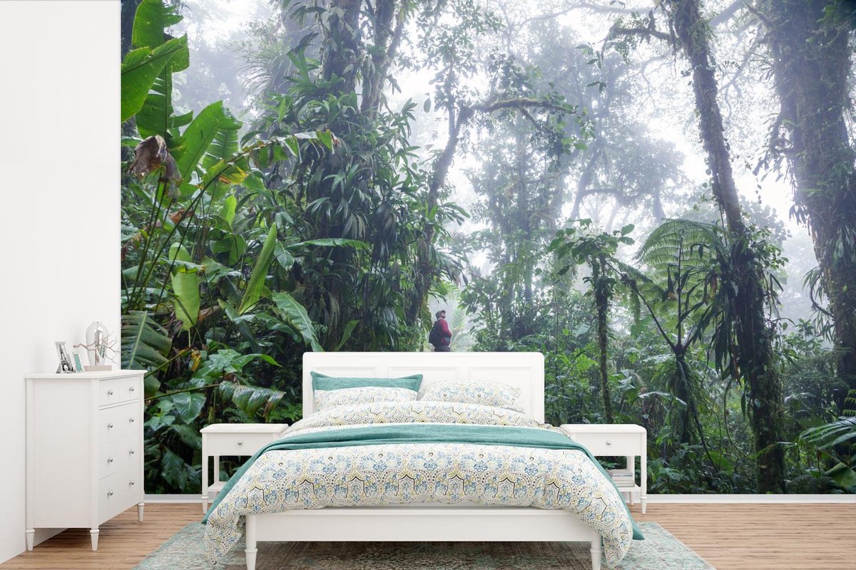 Behang - Fotobehang Een trappen-pad door het mistige tropische regenwoud van Costa Rica - Breedte 525 cm x hoogte 350 cm