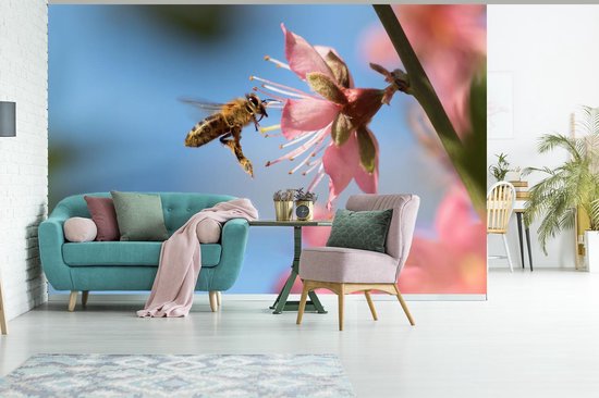Papier peint photo peint vinyle - Abeille volant vers une fleur rose largeur 330 cm x hauteur 220 cm - Tirage photo sur papier peint (disponible en 7 tailles)