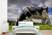 Papier peint photo en vinyle - Une vache frisonne avec des nuages sombres au-dessus largeur 330 cm x hauteur 220 cm - Tirage photo sur papier peint (disponible en 7 tailles)